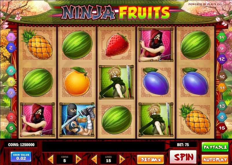 Ninja Fruits Slot Gameplay