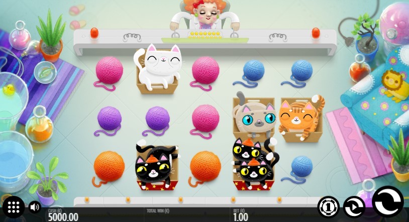 Not Enough Kittens Slot Gameplay