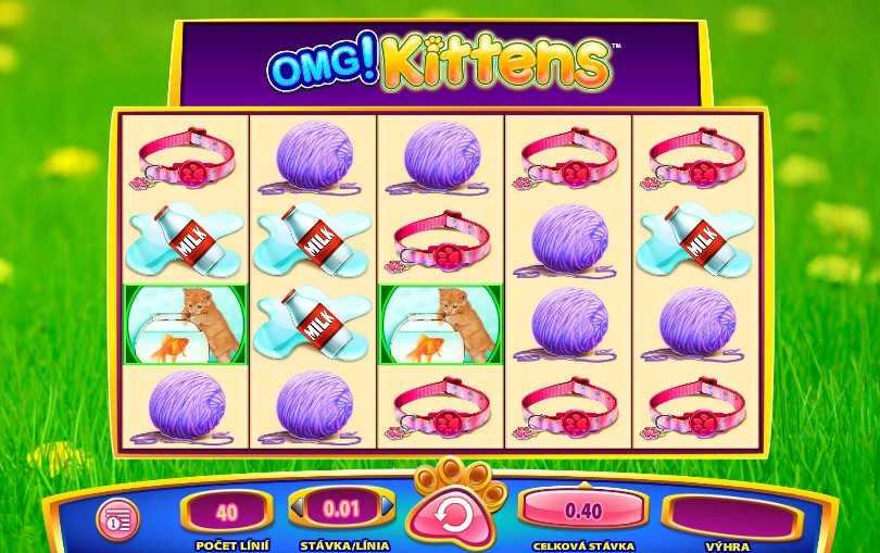 OMG Kittens Slot Gameplay