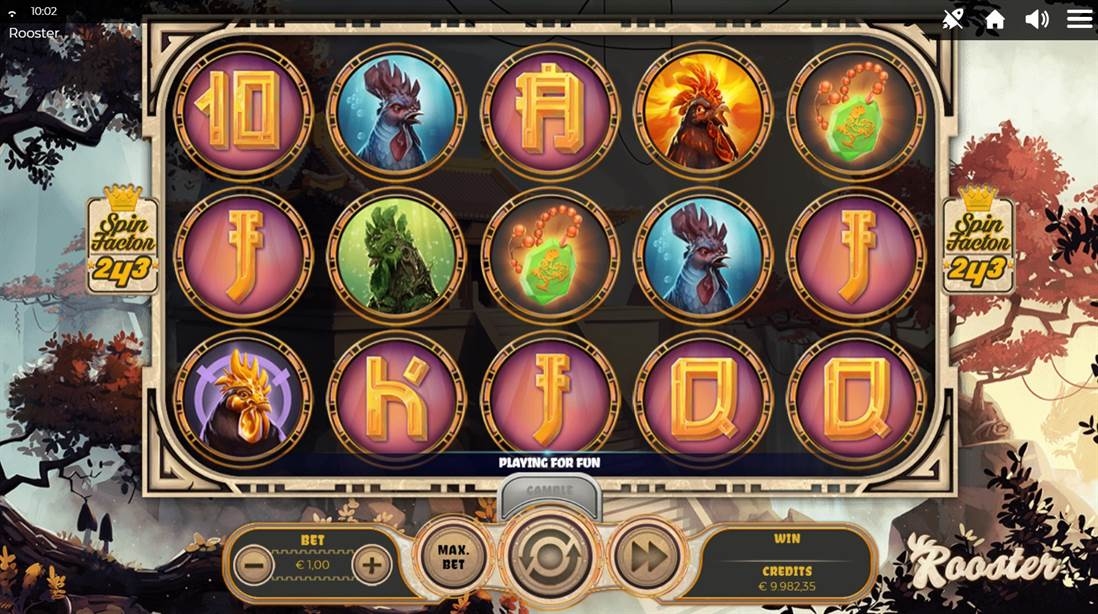 Rooster Slot Gameplay