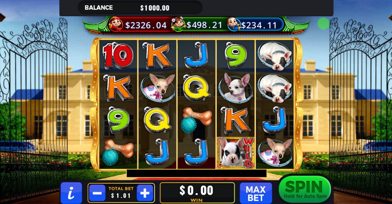 Spot Slot Gameplay