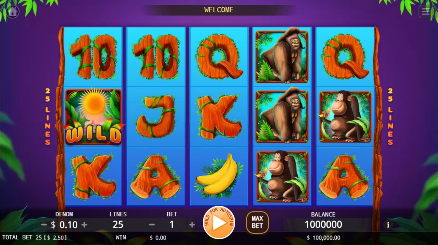 The Apes Slot Gameplay