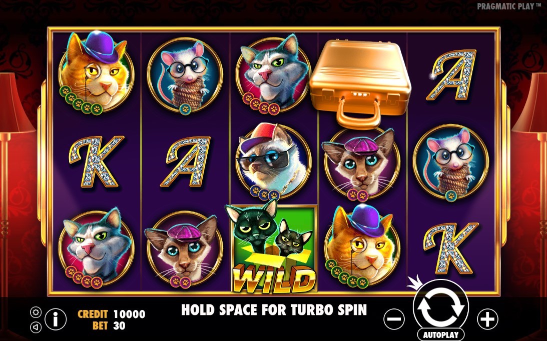 The Catfather Part II Slot Gameplay