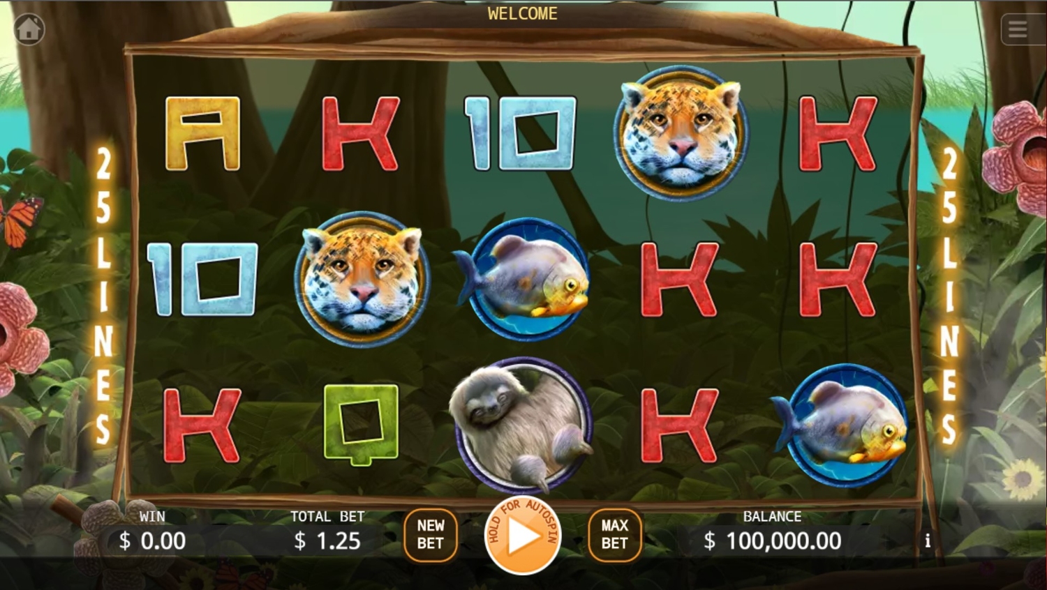 The Primeval Rainforest Slot Gameplay