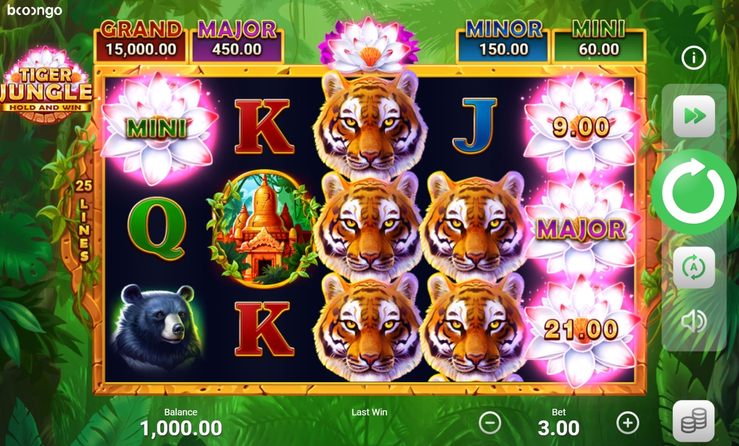 Tiger Jungle Slot Gameplay