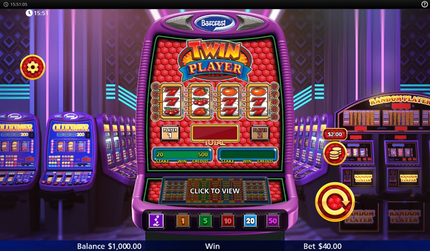 Twin Player Slot Gameplay