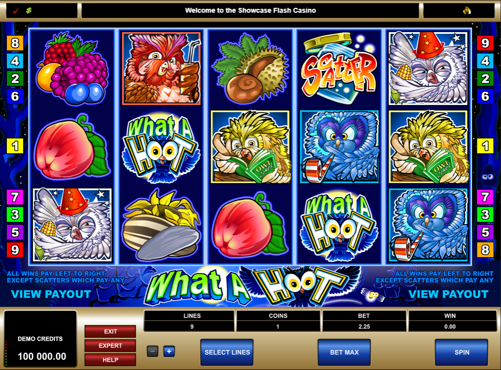 What a Hoot Slot Gameplay