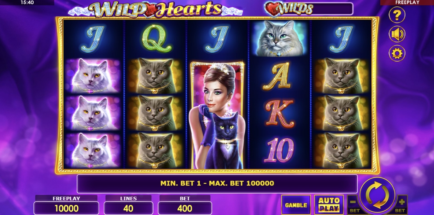 Wild Hearts Slot Gameplay