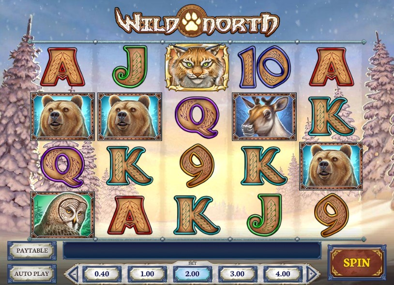 Wild North Slot Gameplay