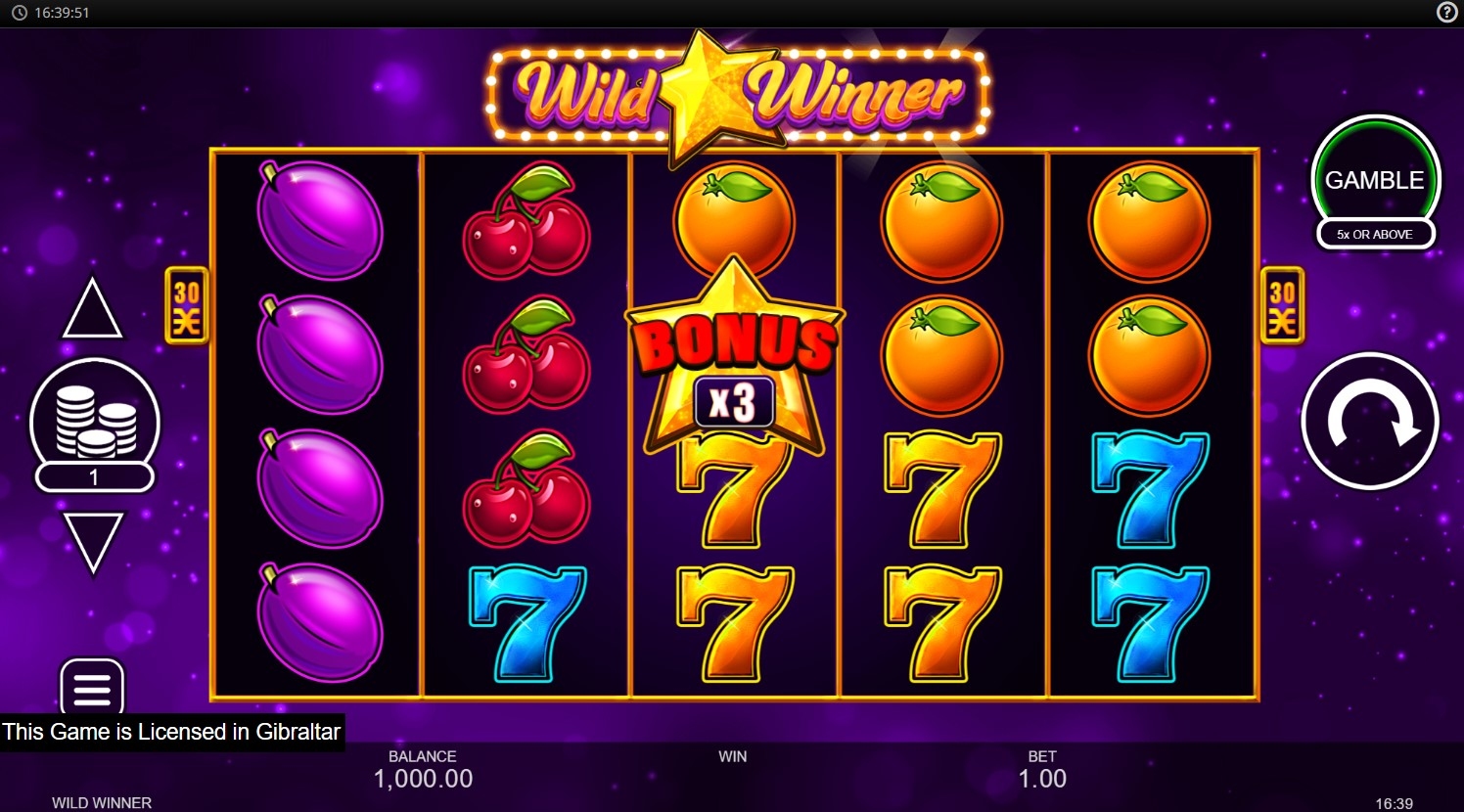 Wild Winner Slot Gameplay
