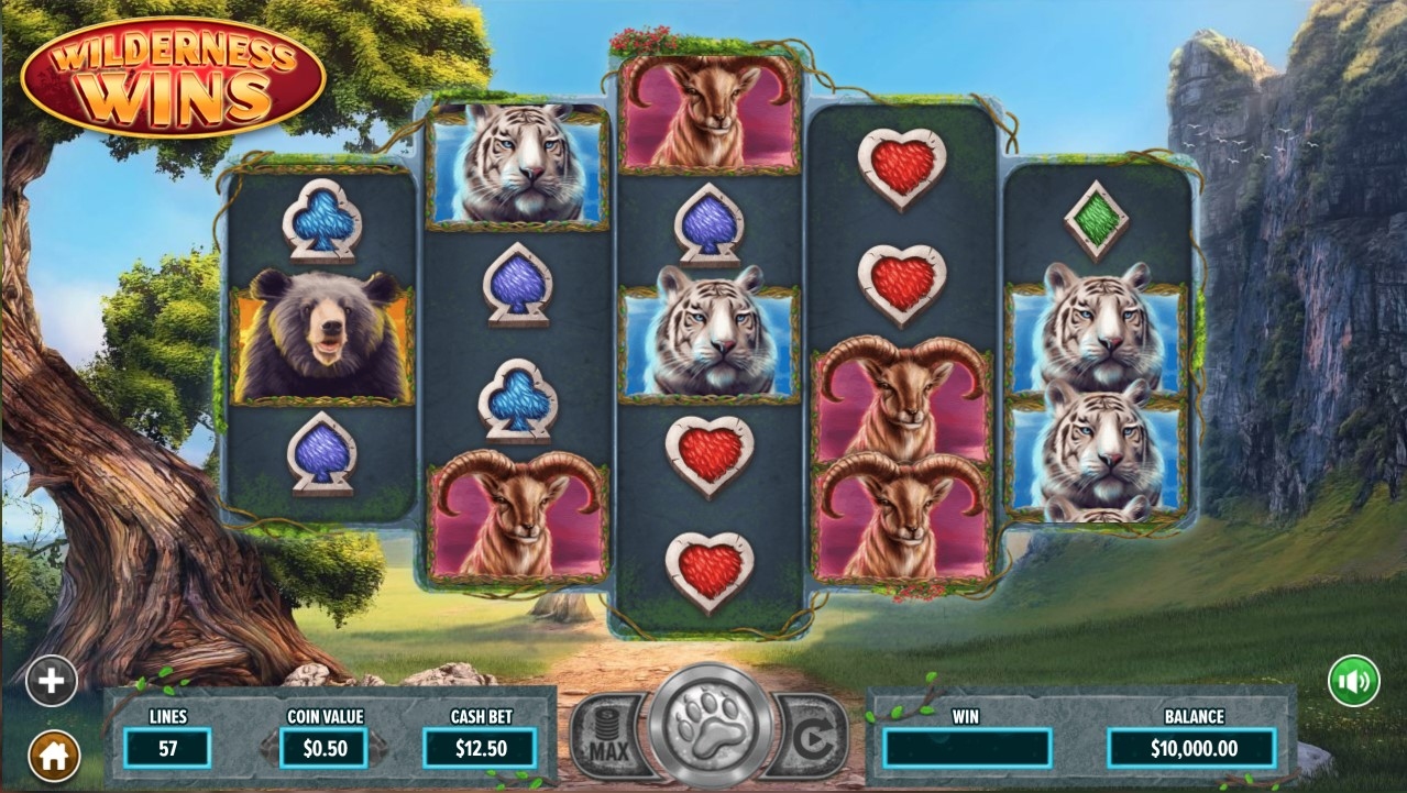 Wilderness Wins Slot Gameplay