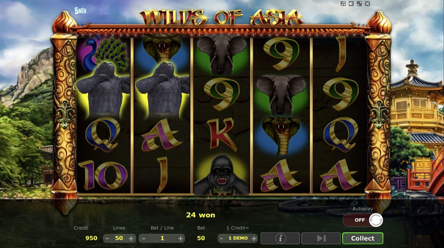 Wilds of Asia Slot Gameplay
