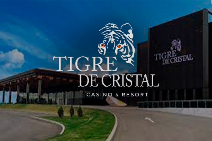The owner of the Tigre de Cristal casino has expressed an optimistic outlook for the future of his business in Russia