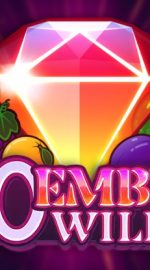 20 Ember Wilds