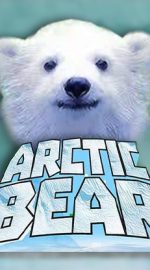 Arctic Bear