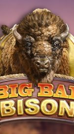 Big Bad Bison