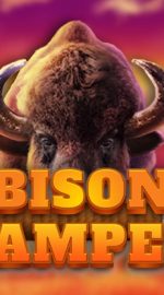 Bison Stampede