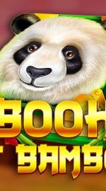 Book of Bamboo