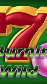 Burning Wild