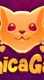 Chica Gato