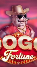 Dogo Fortune