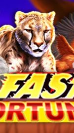 Fast Fortune