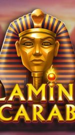 Flaming Scarabs