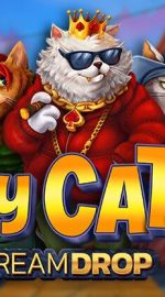 Fly Cats Dream Drop