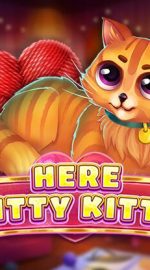 Here Kitty Kitty