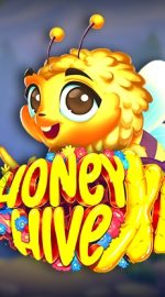 Honey Hive XL