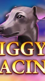 Iggy Racing