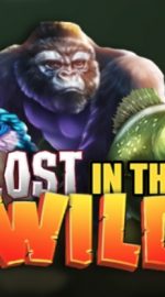 Lost In The Wild