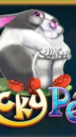 Lucky Pets