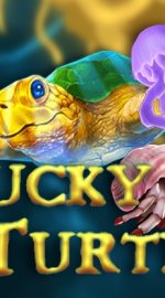 Lucky Turtle