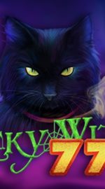 Lucky Witch 777