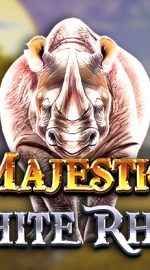 Majestic White Rhino
