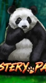 Mystery Panda