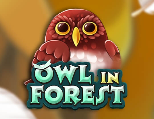 Owl In Forest
