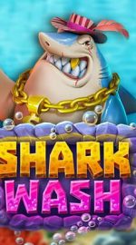 Shark Wash