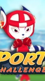 Sports Challenge
