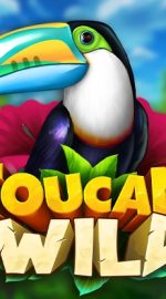 Toucan Wild