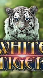 White Tiger