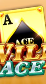 Wild Ace