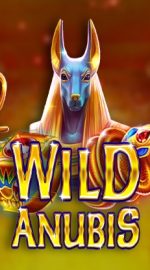 Wild Anubis