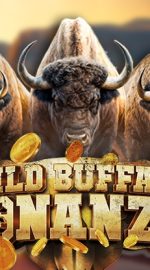 Wild Buffalo Bonanza