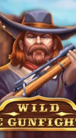 Wild Joe Gunfighter