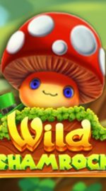 Wild Shamrock