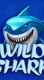 Wild Shark Bonus
