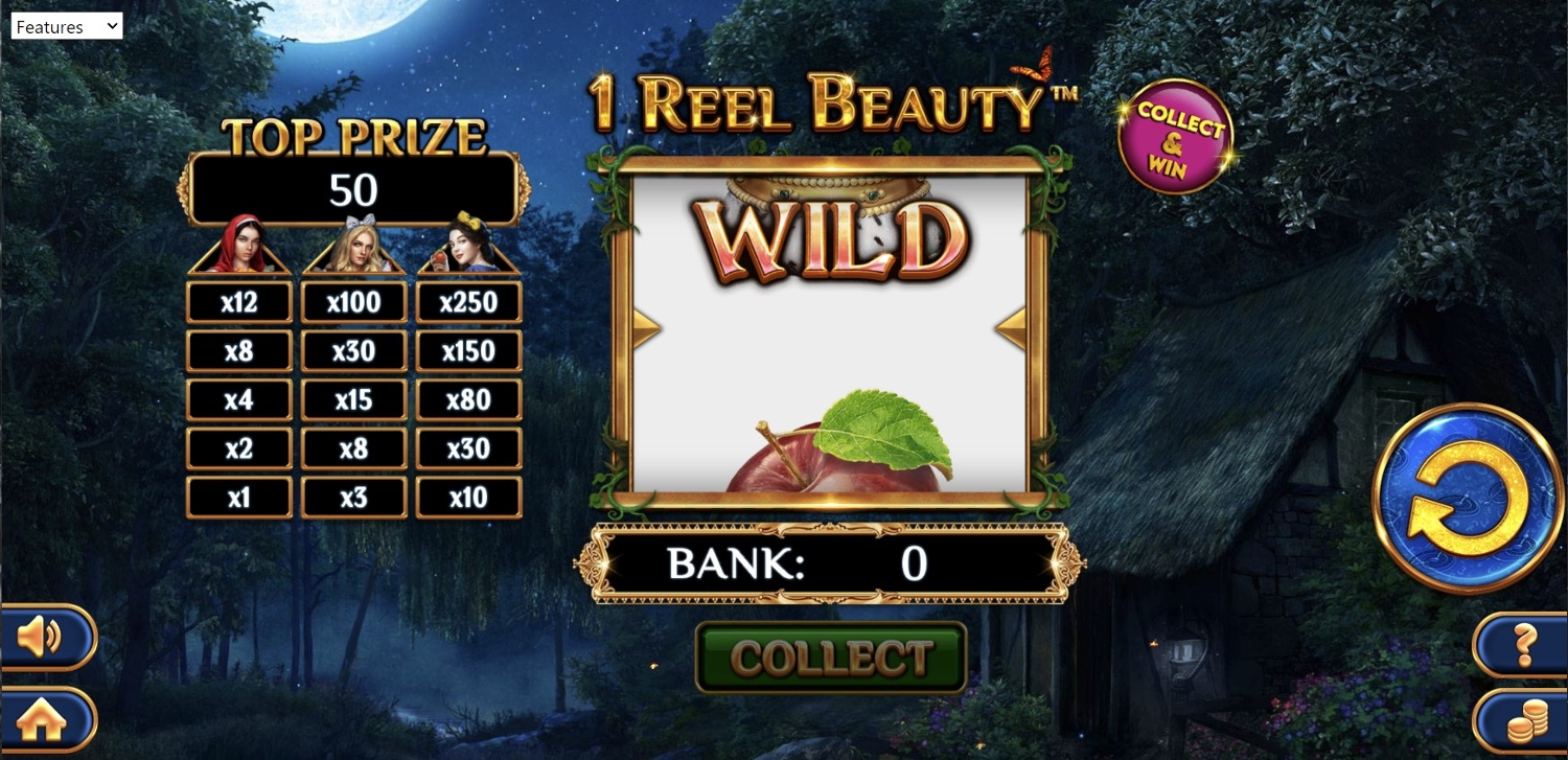 1 Reel Beauty Gameplay Image