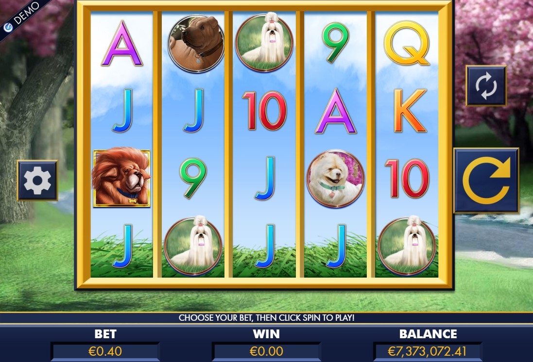 A Bark in the Park Gameplay Image